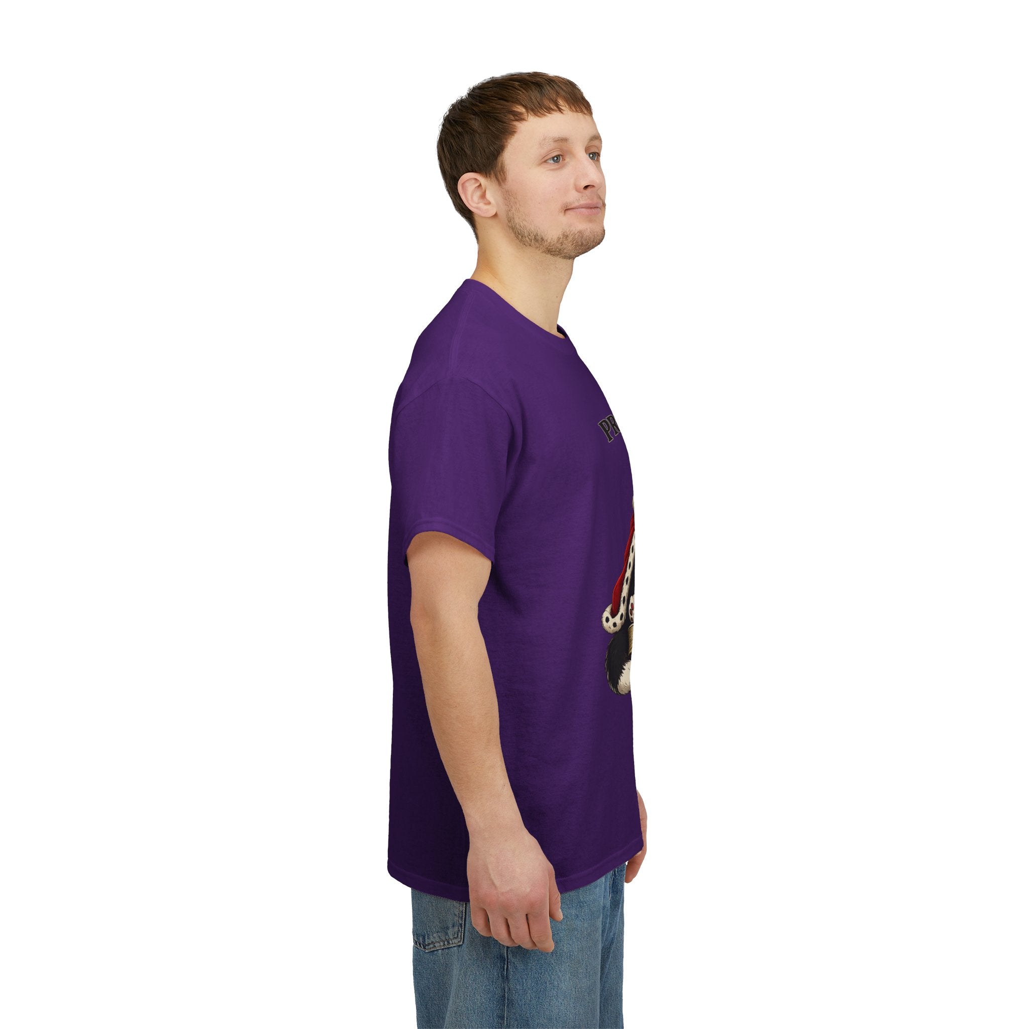 Cat T-Shirt — “Prince Williekins Is Not Impressed” Royal Cat Graphic Tee