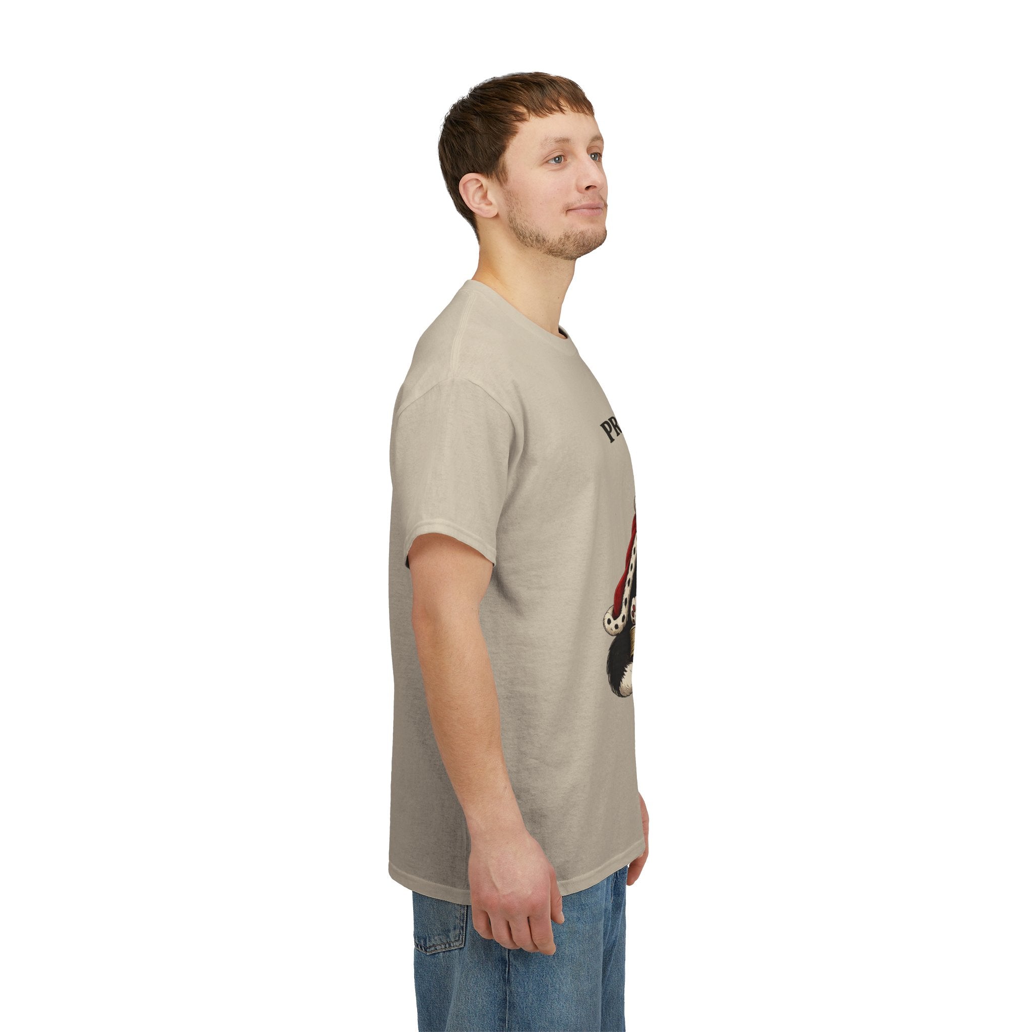 Cat T-Shirt — “Prince Williekins Is Not Impressed” Royal Cat Graphic Tee