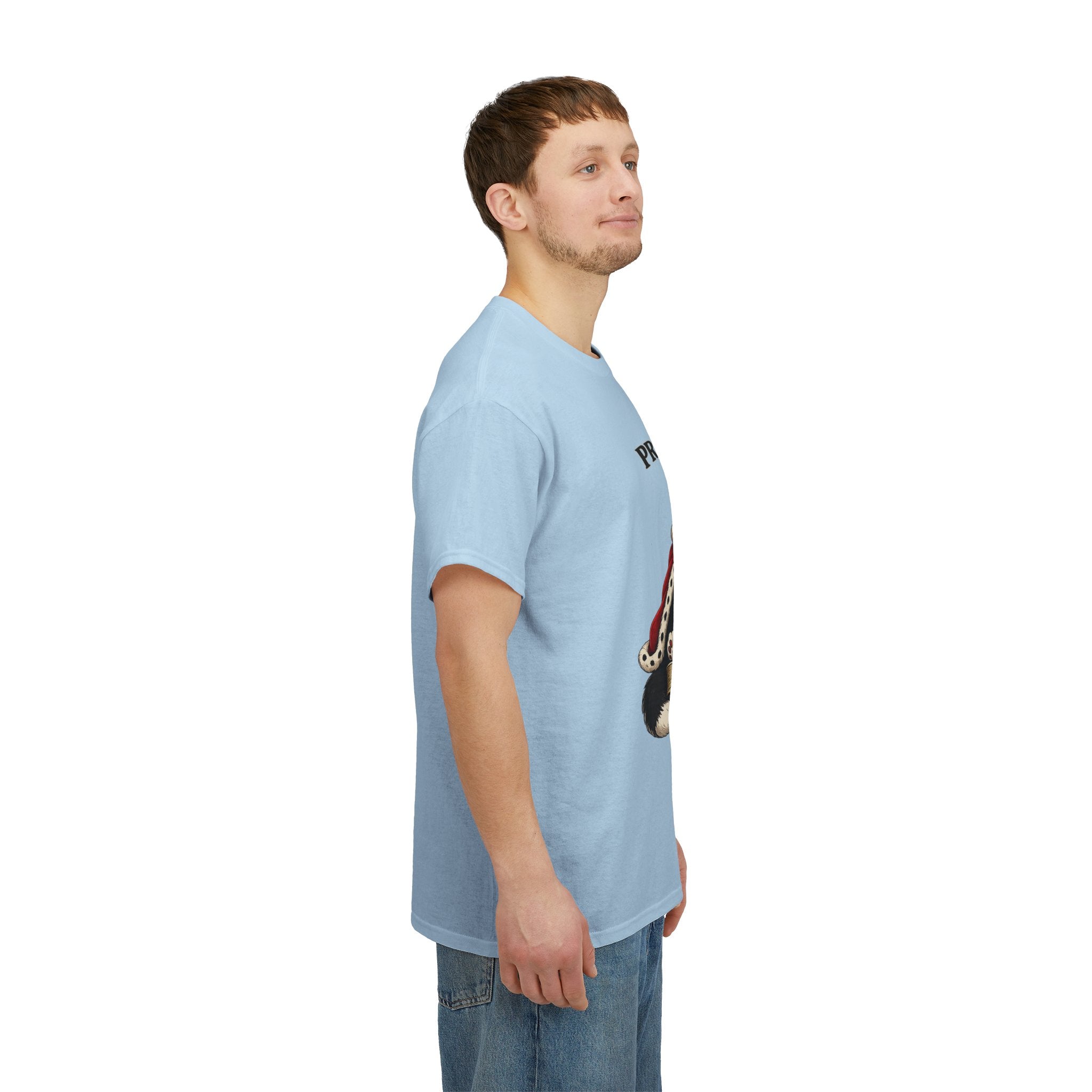 Cat T-Shirt — “Prince Williekins Is Not Impressed” Royal Cat Graphic Tee