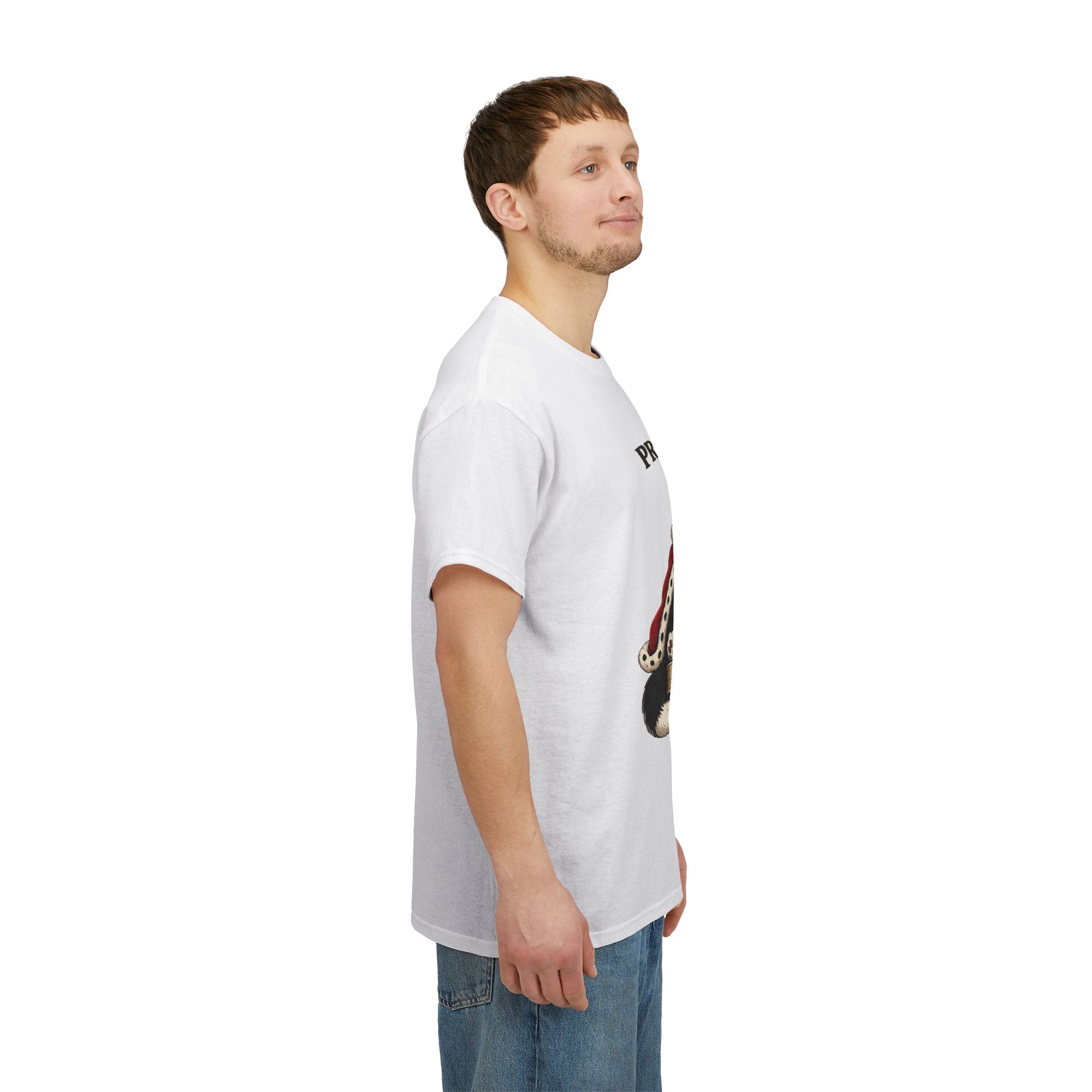 Cat T-Shirt — “Prince Williekins Is Not Impressed” Royal Cat Graphic Tee